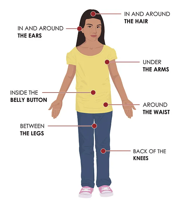 Diagram showing where to check your body for ticks