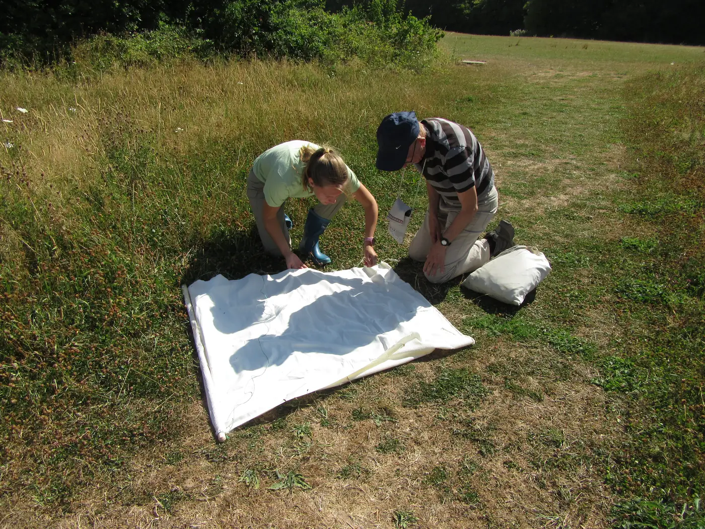 Two people kneeling to inspect a drag cloth spread on the ground