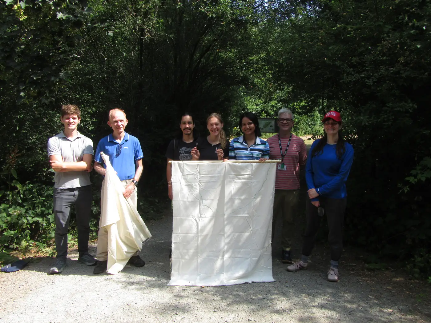A group of seven people holding a large white drag cloth at a woodland edge