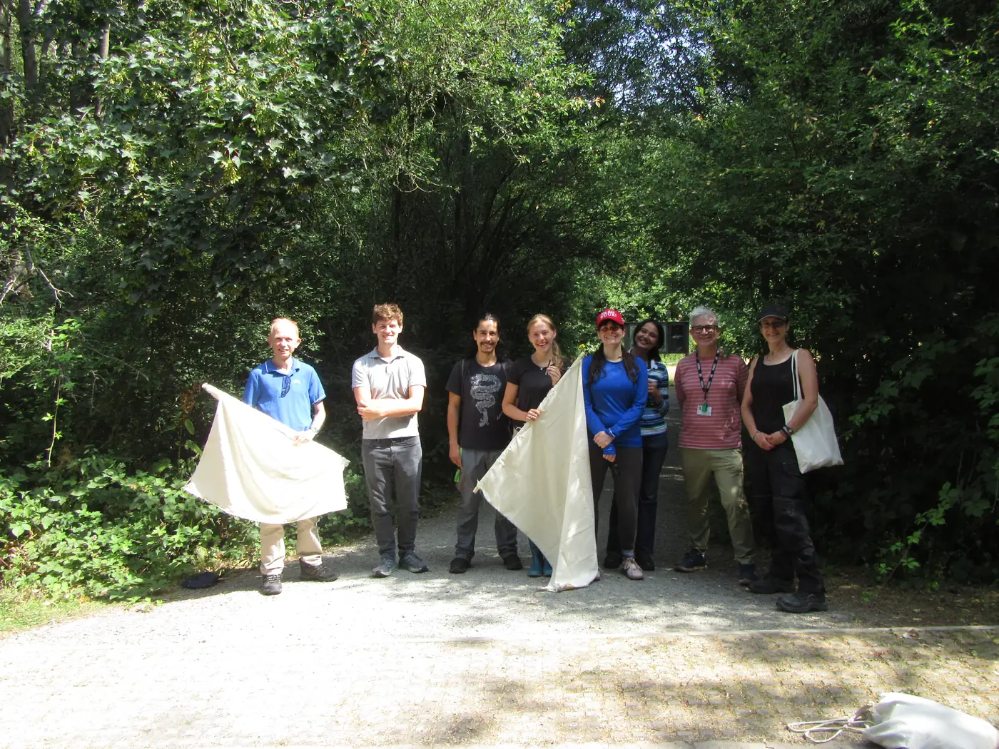 A group of eight people with drag cloths on a gravel path at the edge of woodland