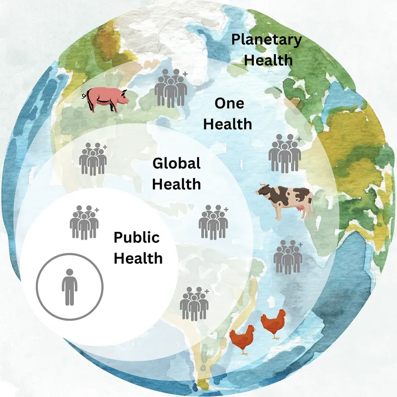 Planetary health conceptual infographic
