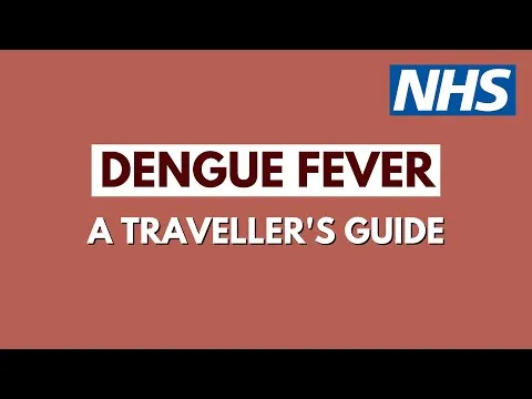 Video preview: dengue travel advice