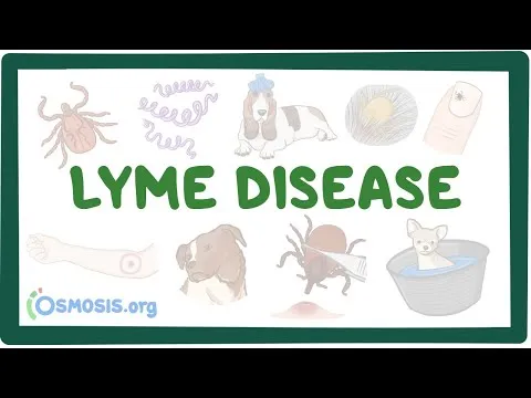Video preview: Lyme disease awareness