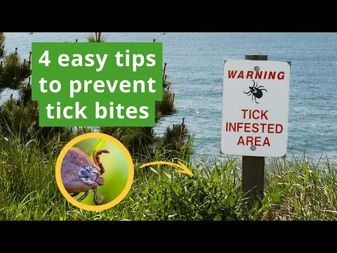 Video preview: practical tips for reducing tick bites