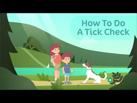 Video preview: tick checking and identification guide