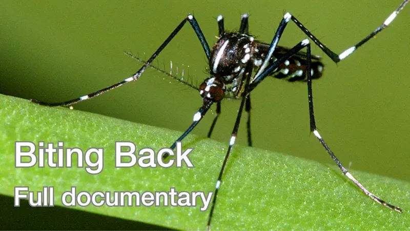 Video preview: UKHSA mini documentary on vector-borne disease