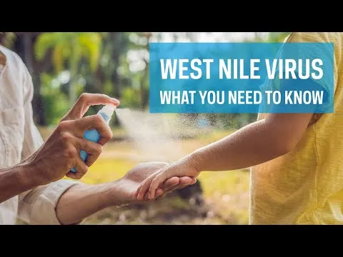 Video preview: West Nile virus explainer